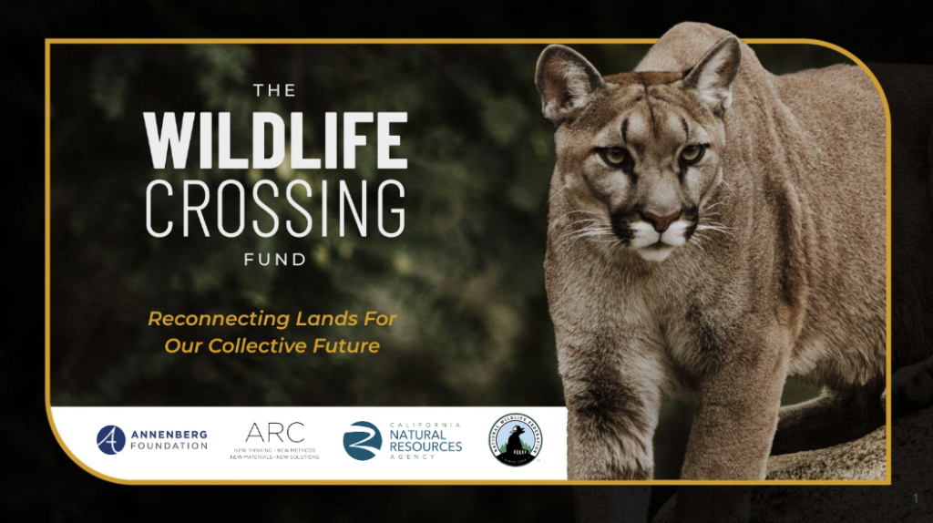 Presentation slide: Reads 'Wildlife Crossing Fund, Reconnecting Lands For Our Collective Future'